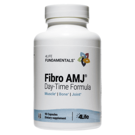 Fibro AMJ